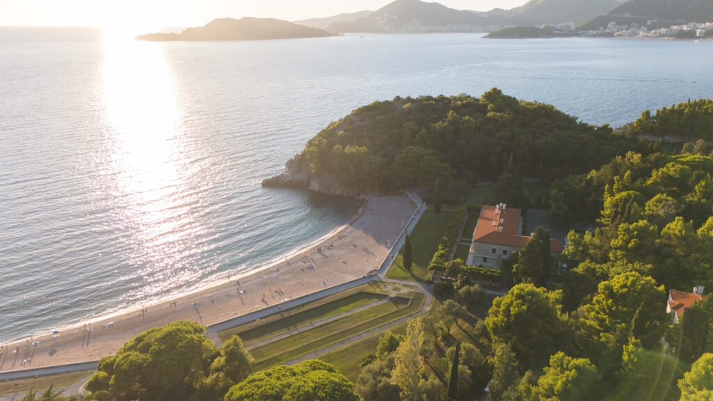 beach with trees and sunset