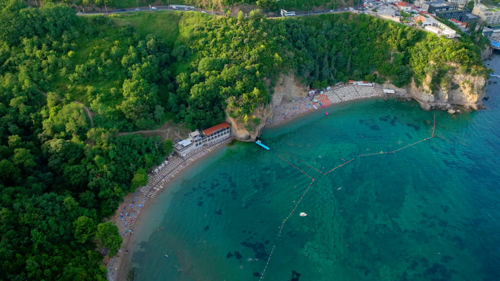 beach with a lot of trees